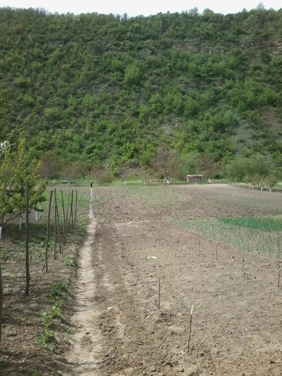 La Popas Orhei Bagian luar foto