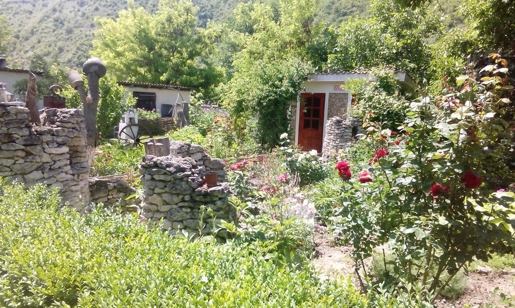 La Popas Orhei Bagian luar foto